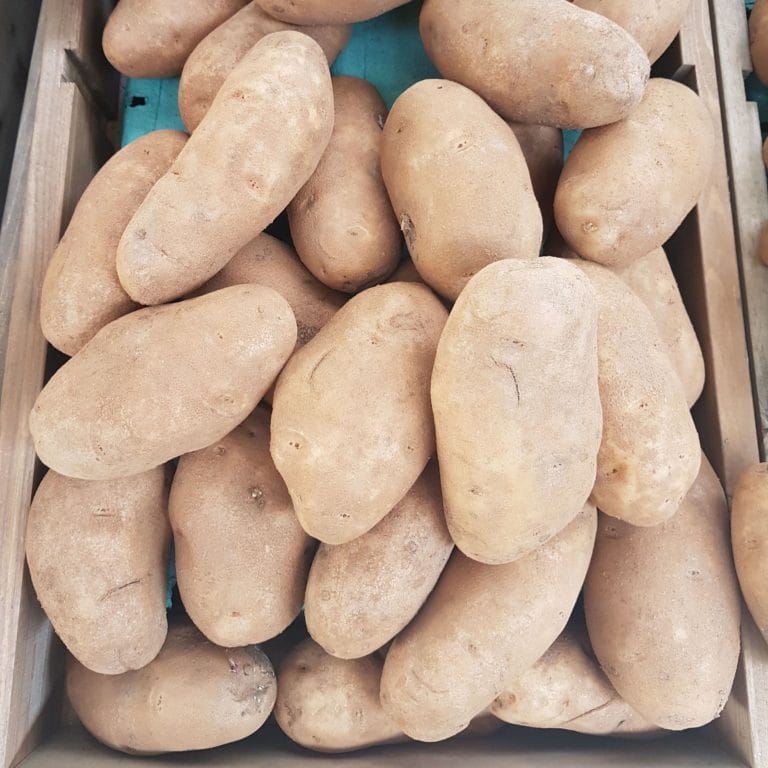 Everything Delicious Lyons Landscaping