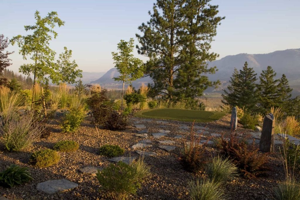 Residential landscape with evergreen trees, shrubs, and young trees in the dry Kamloops climate.