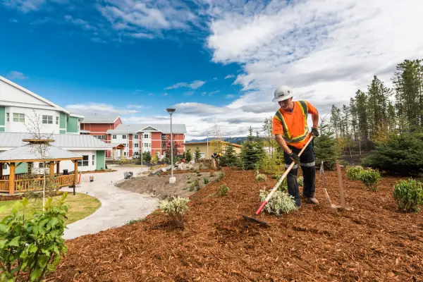 Seasonal Maintenance​ by Lyons Landscaping