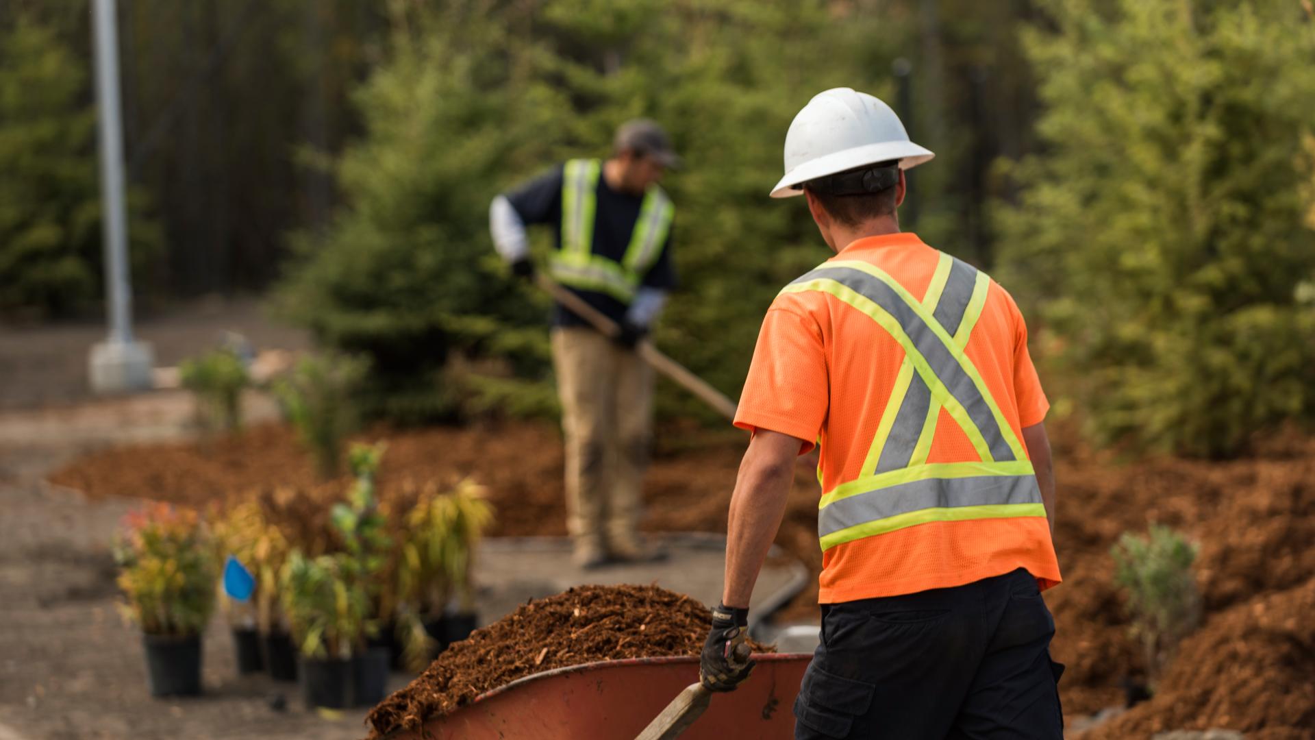 professional landscaping crew maintaining strata common area garden beds in BC Interior summer
