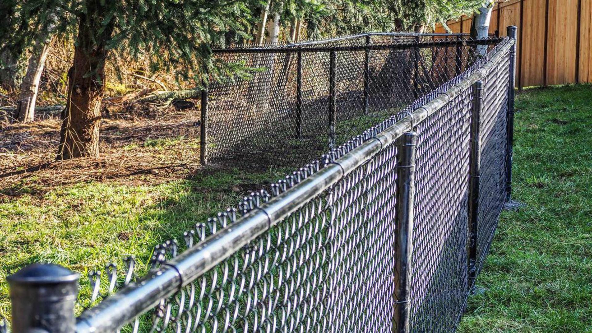 chainlink (1)
