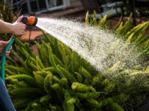 What are Kamloops Watering Restrictions?