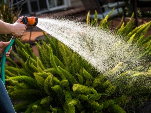 What are Kamloops Watering Restrictions?