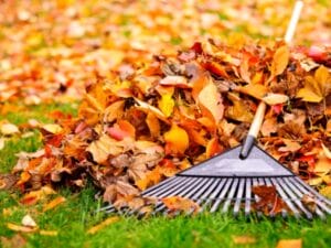 Fall Landscaping Tips in BC