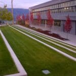Strata Landscaping in BC: What Property Managers Need to Know Before Signing a Contract