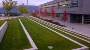 commercial strata property with manicured lawn and ornamental trees in Kamloops BC
