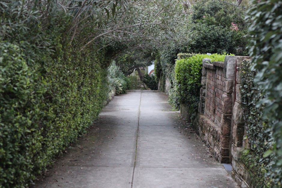 close-up of low-voltage LED path lights lining a stone walkway in a BC Interior residential garden
