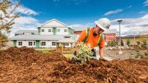 Commercial landscaper performing softscaping work outside a residential property in BC