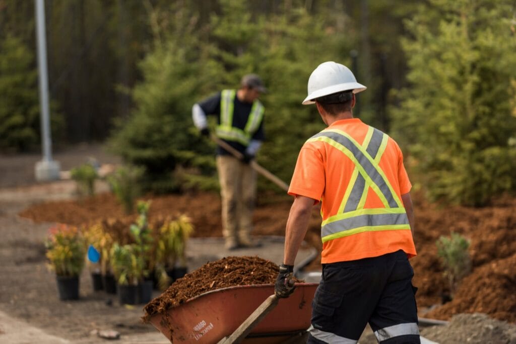 Landscaping crew transporting mulch for garden beds with evergreen trees and shrubs